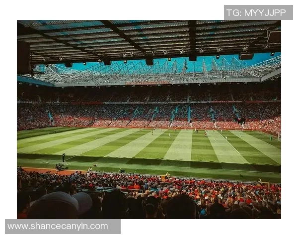 从贫民窟到绿茵场足球明星的奋斗与荣耀之路 从贫民窟到绿茵场足球明星的奋斗与荣耀之路