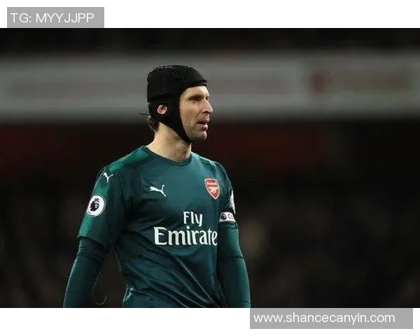 丹麦门神的传奇之路与足球明星的辉煌成就探秘