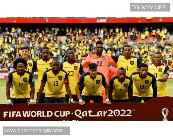 世界杯预选赛积分榜:深圳羽毛球队以69分领跑 世界杯预选赛积分榜:深圳羽毛球队以69分领跑