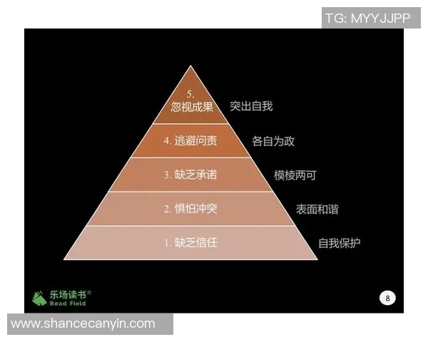 成都排球队团队协作表现的数据分析与提升策略探讨