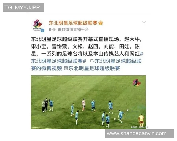 李亚鹏足球之路：从明星到球迷的热爱与坚持