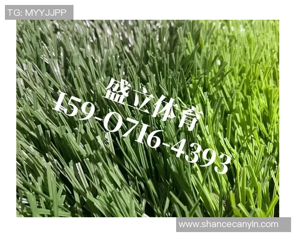 足球假草的优缺点分析及其在现代体育场馆中的应用前景探讨