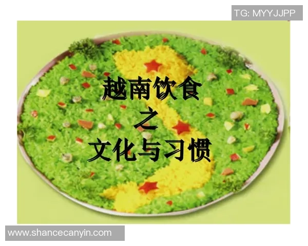 越南足球运动员的饮食习惯与营养搭配探讨