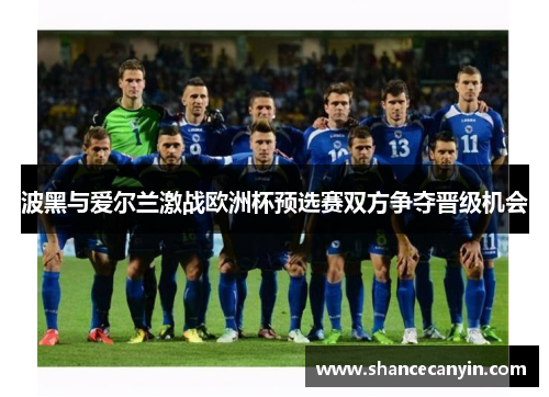 波黑与爱尔兰激战欧洲杯预选赛双方争夺晋级机会